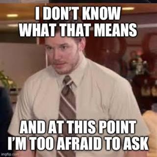 Meme: I don't know what that means, and at this point I'm too afraid to ask